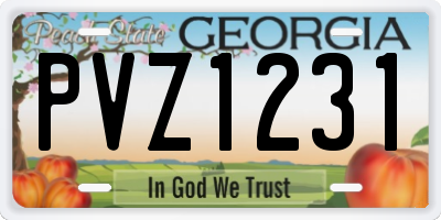 GA license plate PVZ1231
