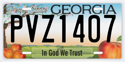 GA license plate PVZ1407