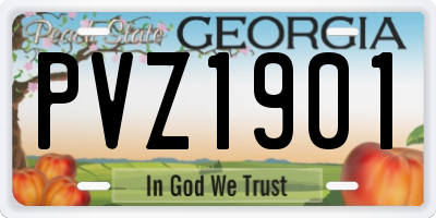 GA license plate PVZ1901