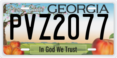 GA license plate PVZ2077