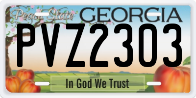 GA license plate PVZ2303
