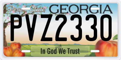 GA license plate PVZ2330