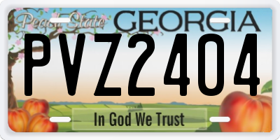 GA license plate PVZ2404