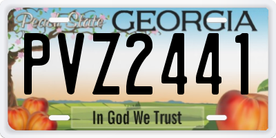 GA license plate PVZ2441