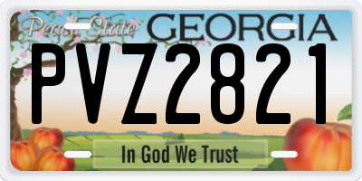GA license plate PVZ2821