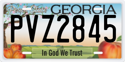 GA license plate PVZ2845