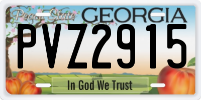 GA license plate PVZ2915