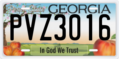 GA license plate PVZ3016