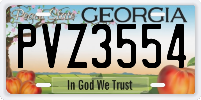 GA license plate PVZ3554