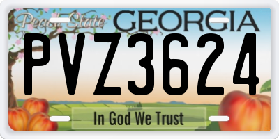 GA license plate PVZ3624