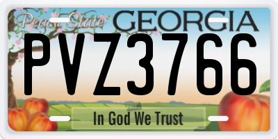 GA license plate PVZ3766