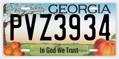 GA license plate PVZ3934