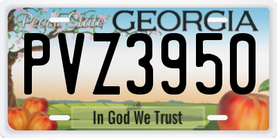 GA license plate PVZ3950