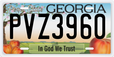 GA license plate PVZ3960