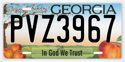 GA license plate PVZ3967