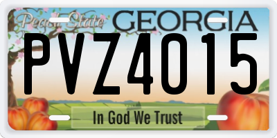 GA license plate PVZ4015