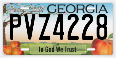 GA license plate PVZ4228