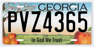 GA license plate PVZ4365