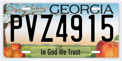 GA license plate PVZ4915