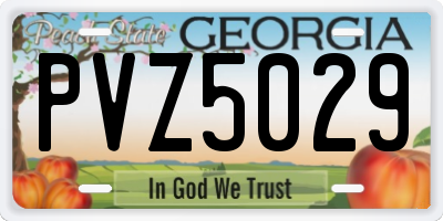 GA license plate PVZ5029