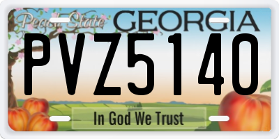 GA license plate PVZ5140