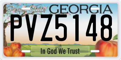 GA license plate PVZ5148