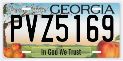 GA license plate PVZ5169