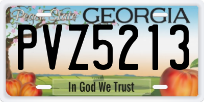 GA license plate PVZ5213