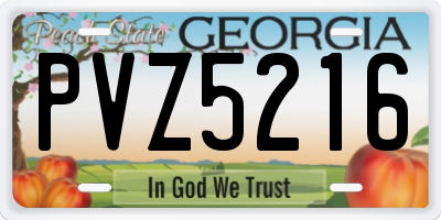 GA license plate PVZ5216