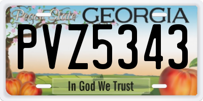 GA license plate PVZ5343