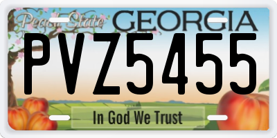 GA license plate PVZ5455