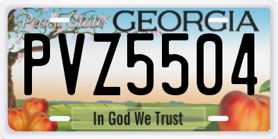 GA license plate PVZ5504