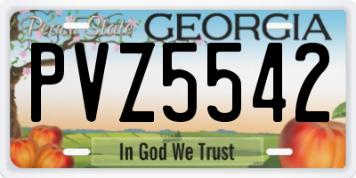 GA license plate PVZ5542