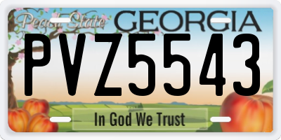 GA license plate PVZ5543