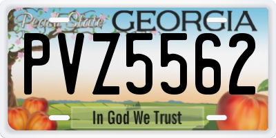 GA license plate PVZ5562