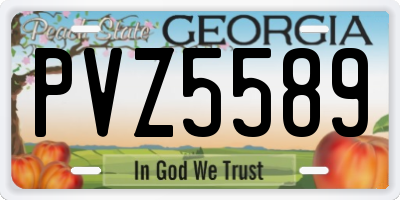 GA license plate PVZ5589