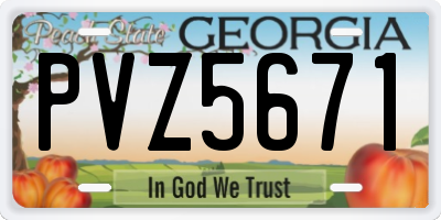 GA license plate PVZ5671