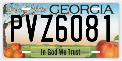 GA license plate PVZ6081