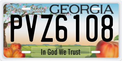 GA license plate PVZ6108