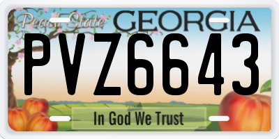 GA license plate PVZ6643