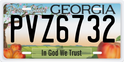 GA license plate PVZ6732
