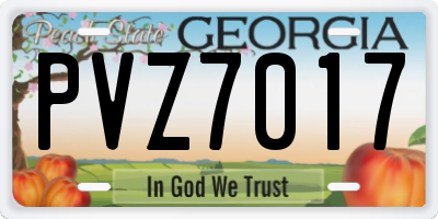 GA license plate PVZ7017