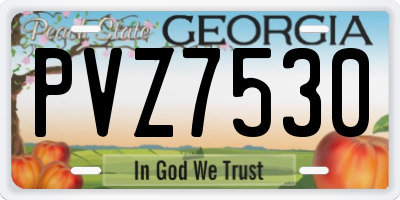 GA license plate PVZ7530