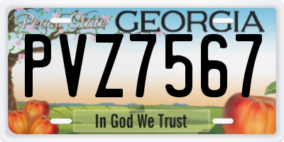 GA license plate PVZ7567