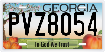 GA license plate PVZ8054