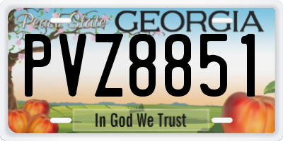 GA license plate PVZ8851