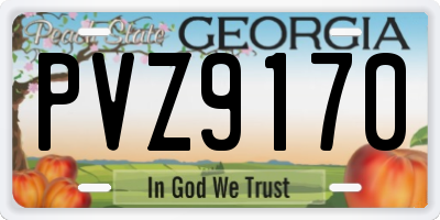 GA license plate PVZ9170