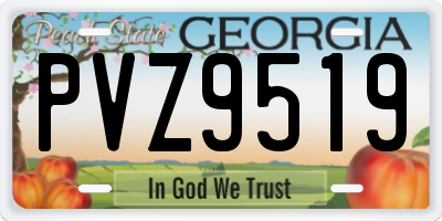 GA license plate PVZ9519