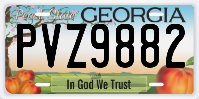 GA license plate PVZ9882