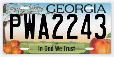 GA license plate PWA2243